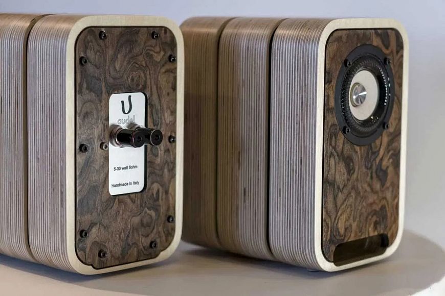 Audel Nika mk III - stylish monitors with wideband drivers Audel Nika mk III - stylish monitors with wideband drivers