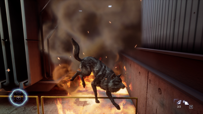 The wolf may not perform in the circus, but he still prepares the numbers ...