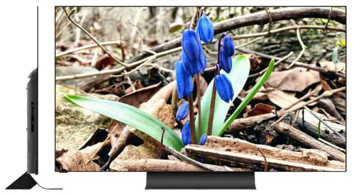 Vizio OLED H1 design