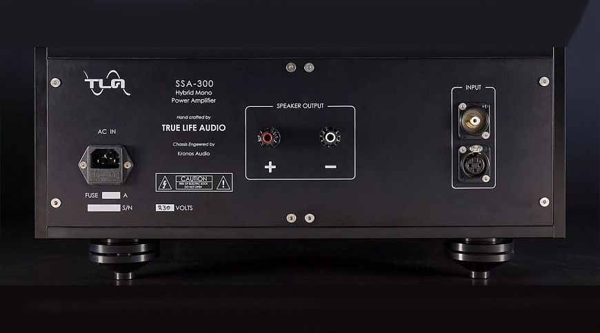 TrueLife Audio SSA-300 - hybrid monoblock from Greece
