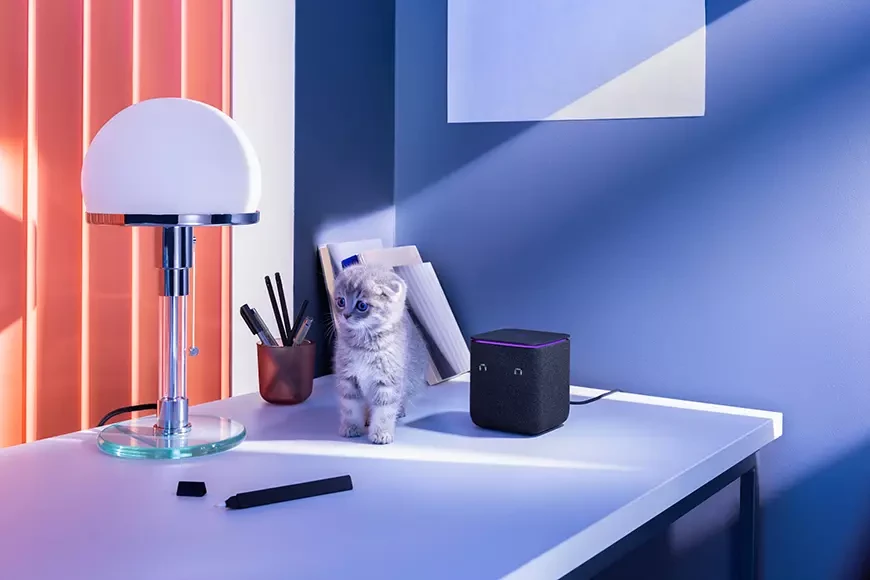 Here is a cat and Yandex Station Midi. Nice :) 