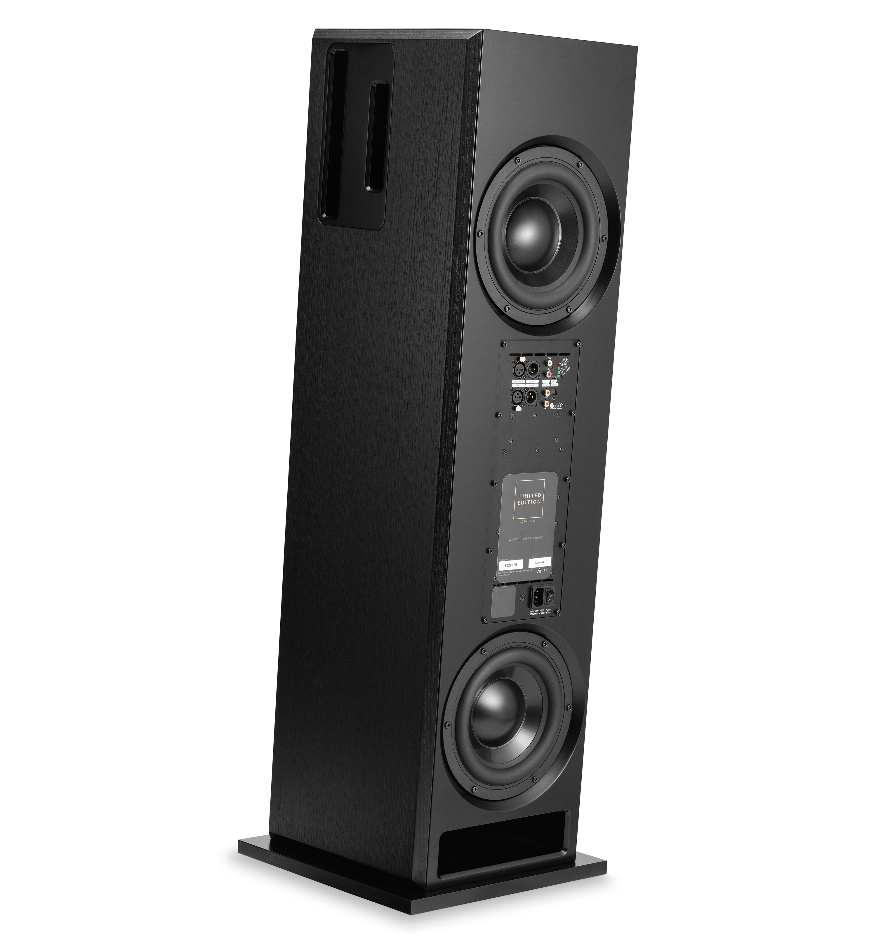 20250306151047 2025 03