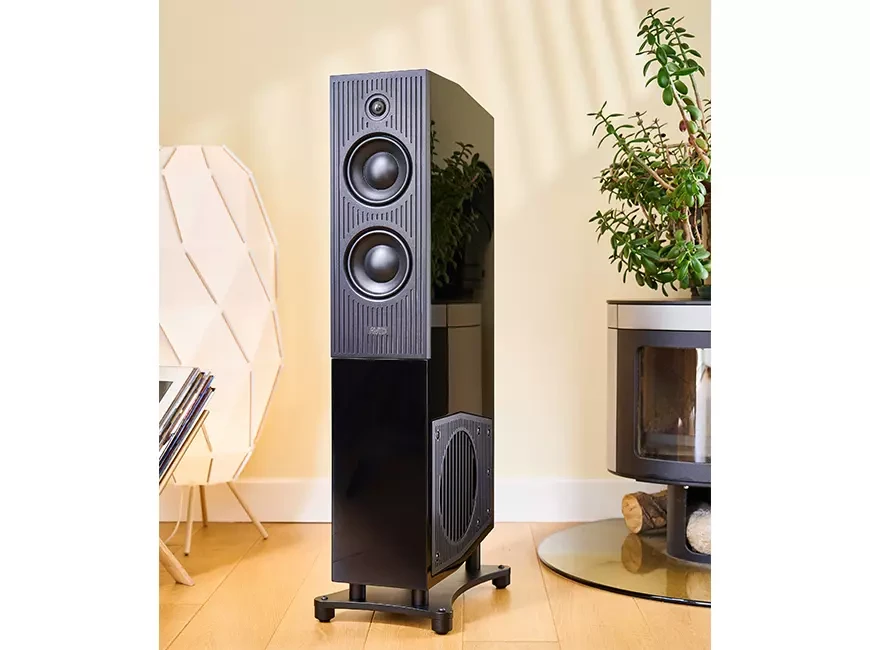 Floorstanding acoustic systems AVID Evo Two