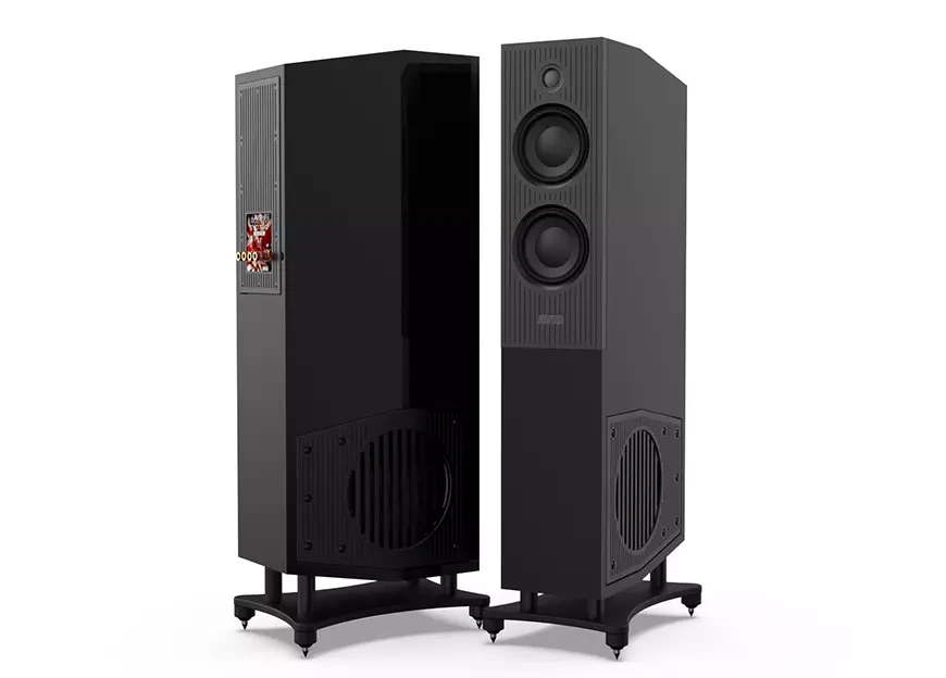 Floorstanding acoustic systems AVID Evo Two