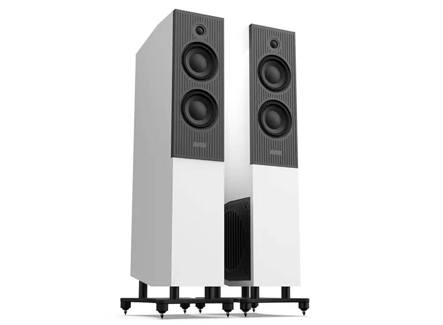 Floorstanding acoustic systems AVID Evo Two