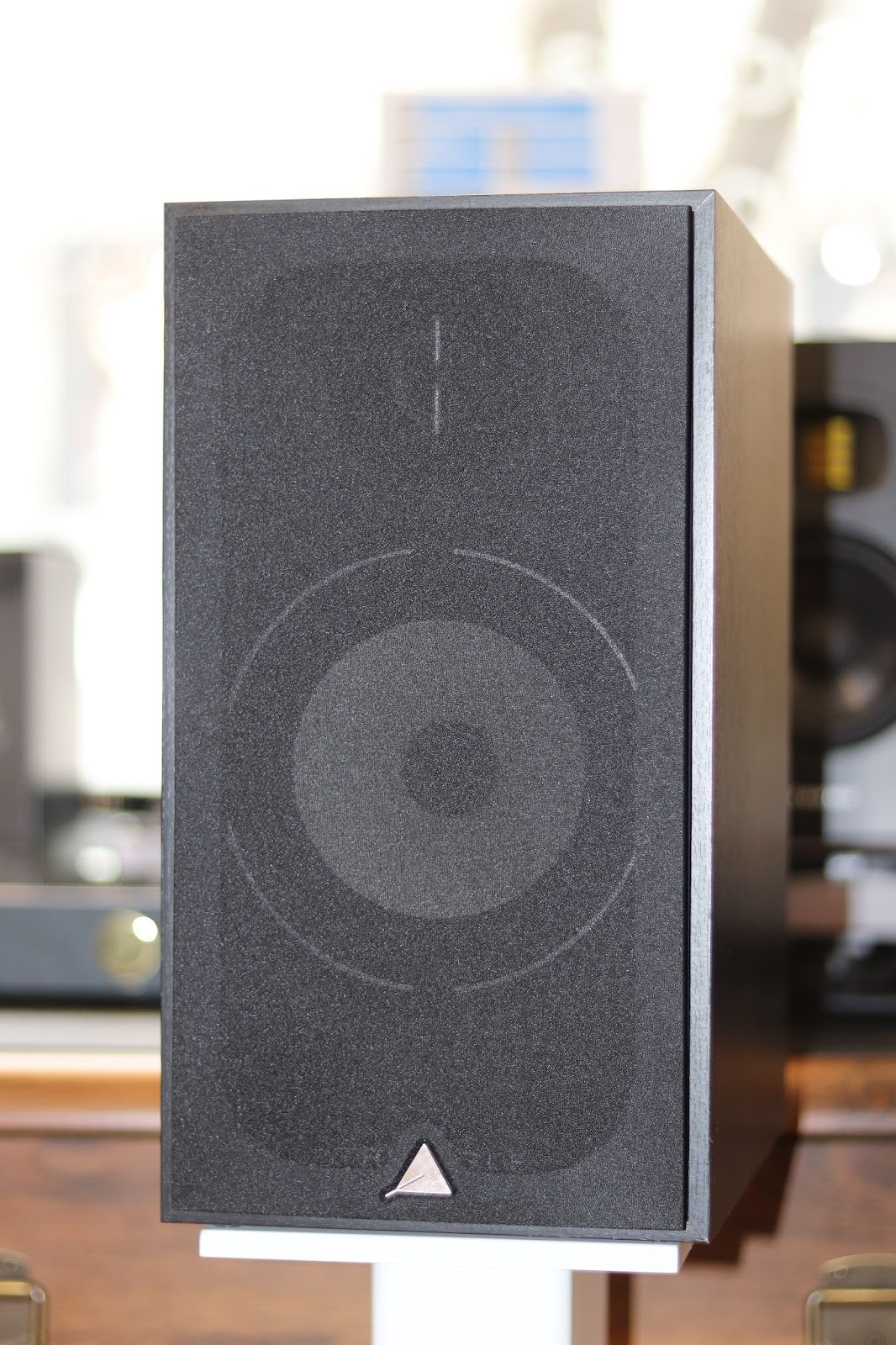 Triangle Borea BR03 have a bright sound, which is closer to a warm shade. The midrange, thanks to the paper diffuser, transmits vocal parts very well, but these speakers also handle fairly hard riffs by Metallica without any problems. 