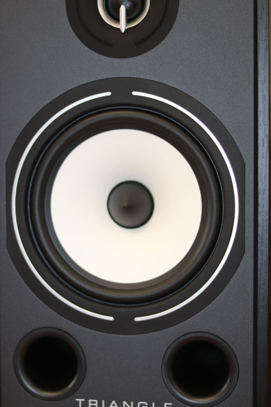 The tweeter is probably the most interesting thing in this speaker. At first glance, it is an ordinary 25 mm silk dome, and it really is. 