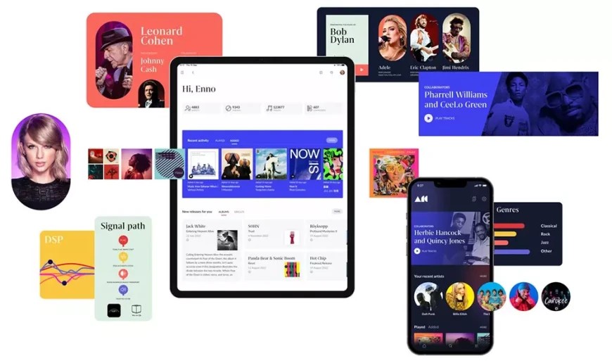 The Roon platform has long been considered the benchmark for demanding music library management in the high-end segment.