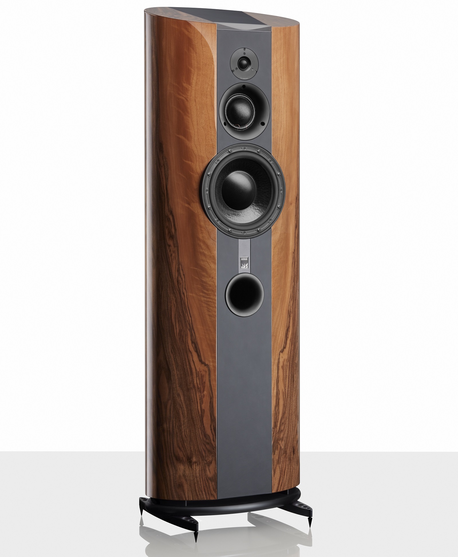 20260219143931 2026 02