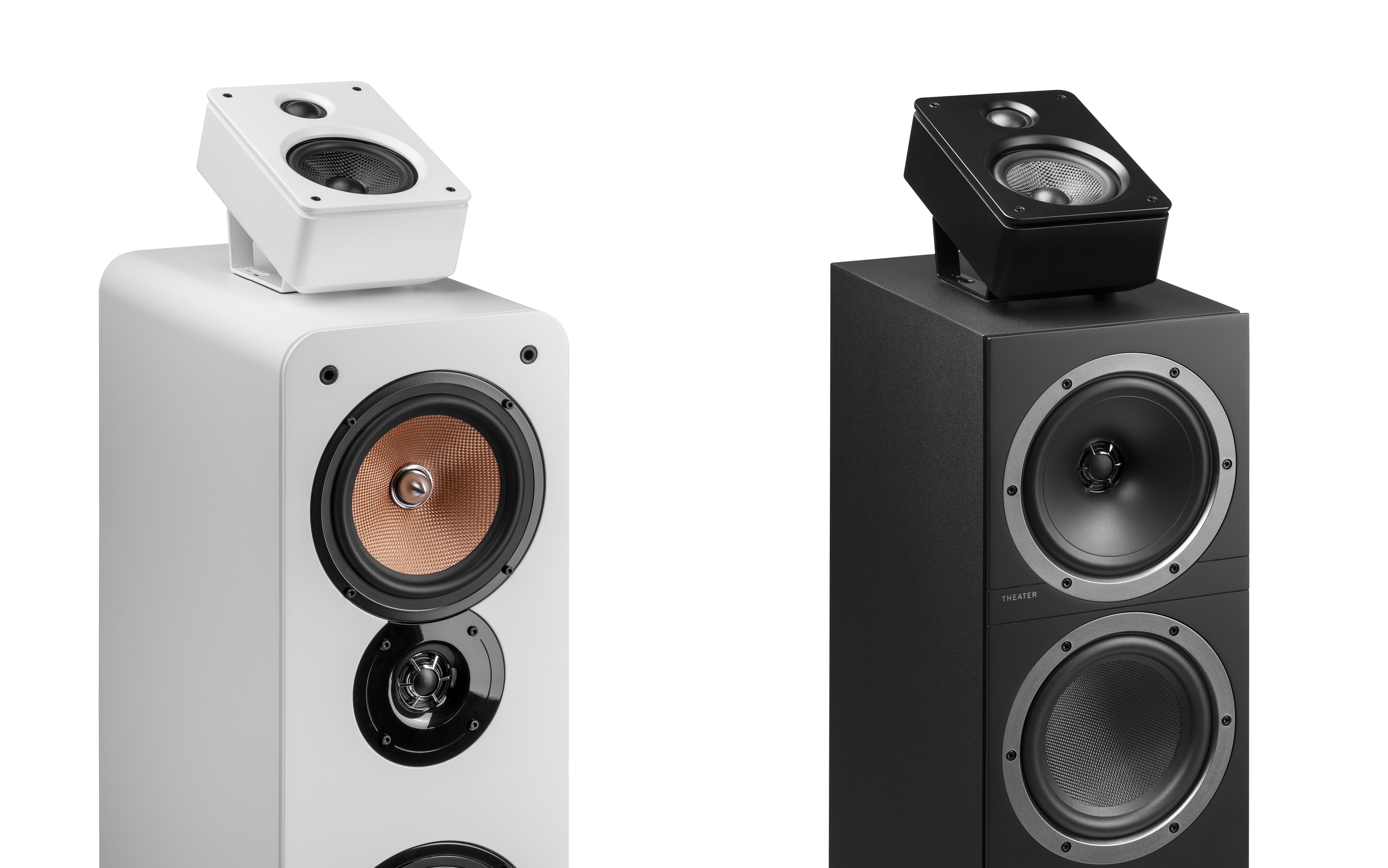 20260224165028 2026 02