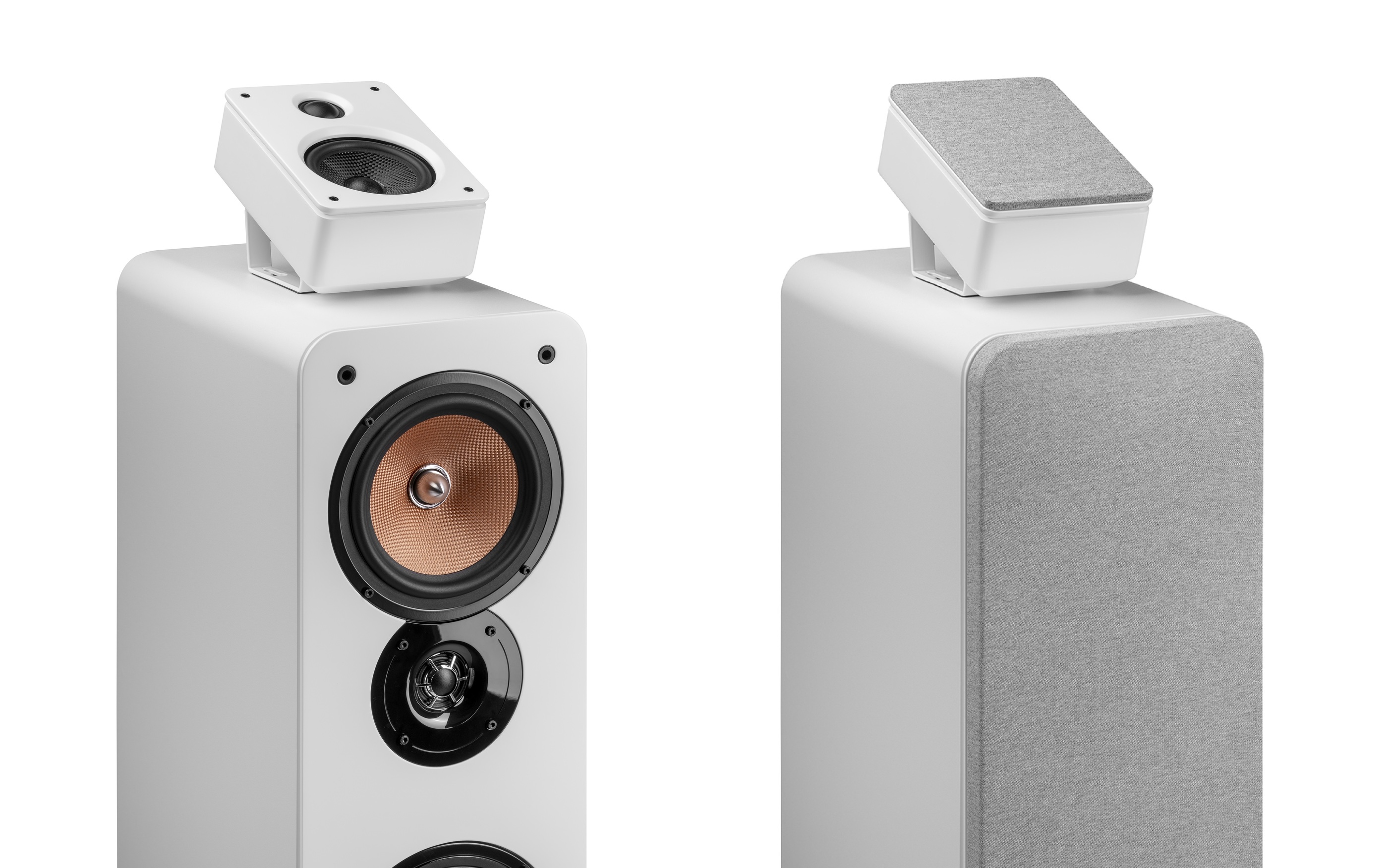 20260224165034 2026 02