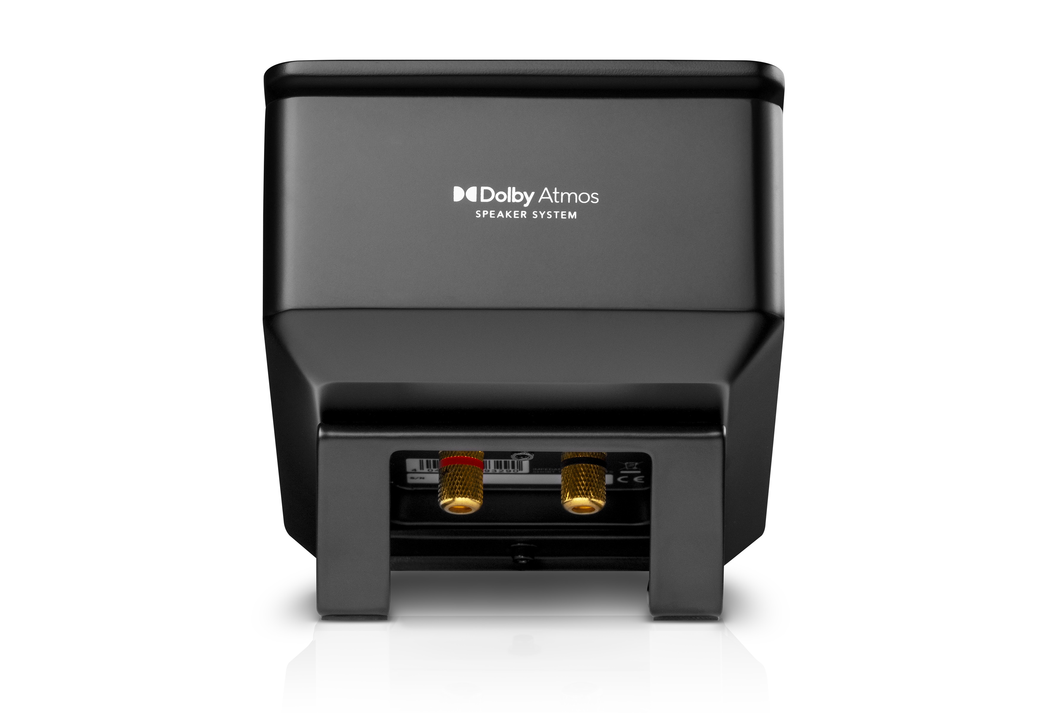 20260224165053 2026 02