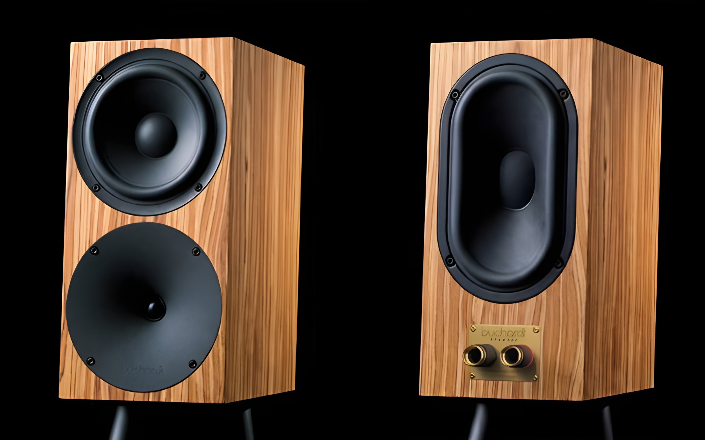 Buchardt Audio S400 MKII Signature Edition Tribute: limited run of 50 handcrafted pairs 9 The two-way stand-mount design uses a rear passive radiator to deliver deep, controlled bass from a compact, high-performance cabinet.