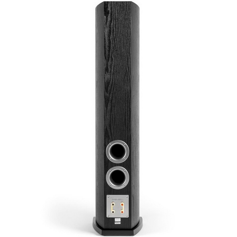 Premiera Delta DS-631: Affordable Floorstanders with Surprisingly Mature Sound 10 Despite its affordable price point, the DS-631 features robust construction, bi-wire terminals, and a substantial stabilizing plinth.